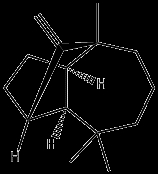 （+） - ロンギフォレン